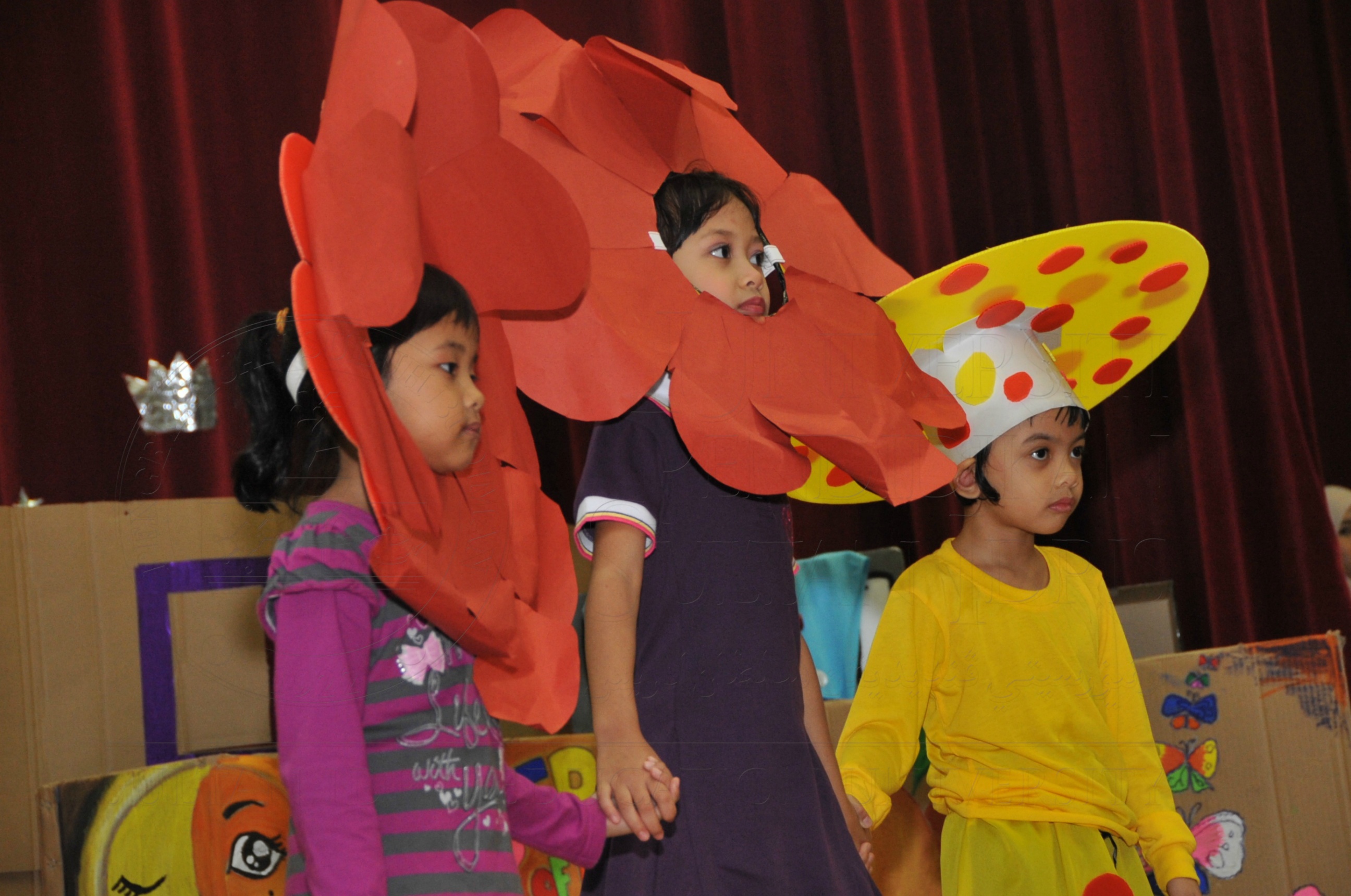 PRO15 163 KONVO HAS 0809